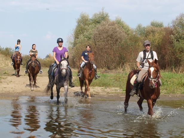 12043101_1626929950919036_3222714172476540352_n